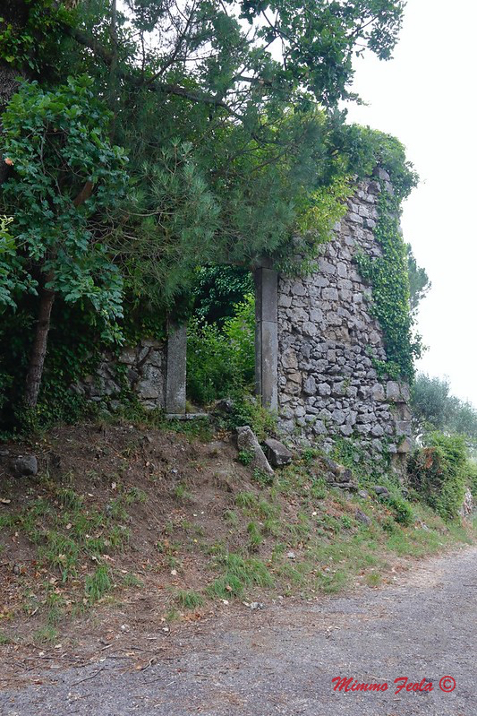 Conca della Campania (CE) – Orchi – Ruderi della Chiesa di San&nbsp;Eleuterio