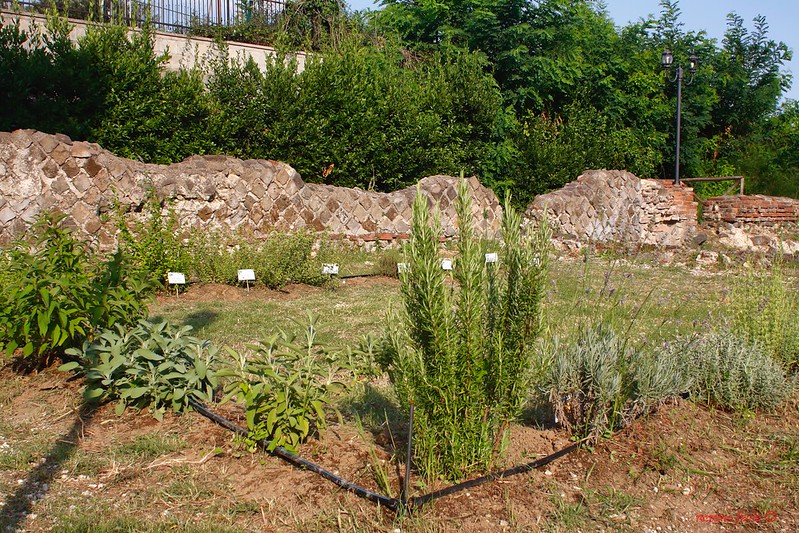 Teano – Borgo Sant’Antonio Abate – Area della Domus – Orto dei profumi – 19 luglio&nbsp;2018