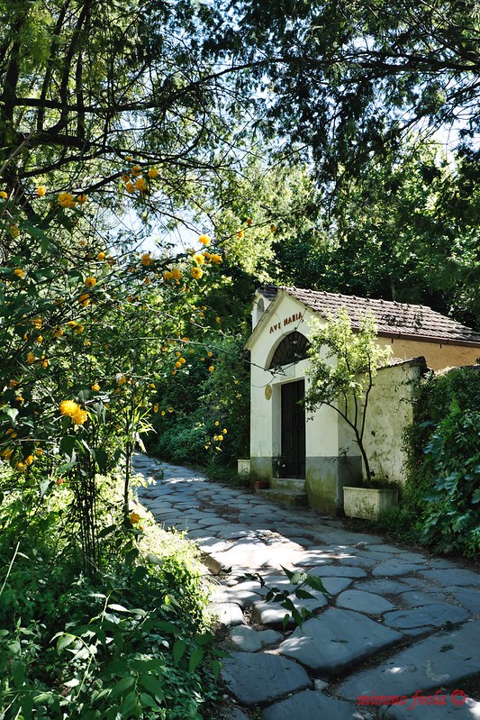 Teano (CE) – Casamostra – Contrada S. Lieno – Cappella&nbsp;Micheletti